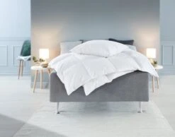 Oreiller 620g ALTA 60x63/70 -Intérieur Chic 105143