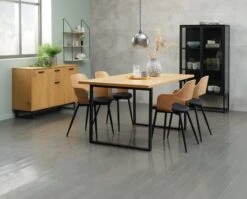 Vitrine VIRUM 2 Portes Noir -Intérieur Chic 128765