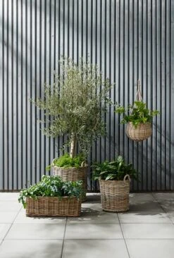 Panier SANSEBIE Ø40/50 2pcs/lot -Intérieur Chic 149781