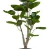 Plante Artificielle ARVID H70cm Vert
