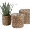 Panier SANSEBIE Ø25/33/40 3pcs/lot