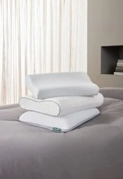 Oreiller WELLPUR VOSS Blanc 30x50x10/7 -Intérieur Chic 185114