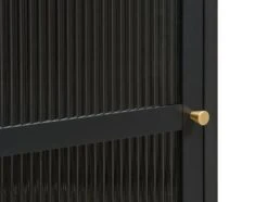 Vitrine HOPTRUP 1 Porte Noir -Intérieur Chic 185595