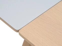 Table EGEBJERG 160/250 Gris Clair -Intérieur Chic 185691