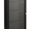 Armoire Murale HASTRUP 1 Porte Verre Noir