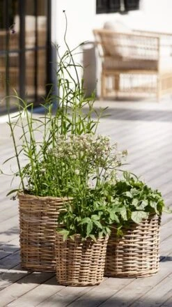 Panier SANSEBIE Ø25/33/40 3pcs/lot -Intérieur Chic 194469