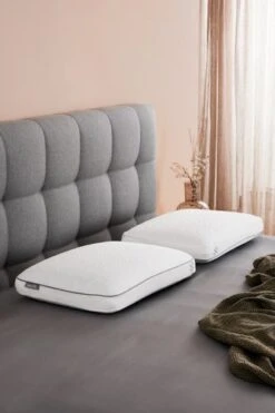 Oreiller WELLPUR VARDO 40x60x13 9 Oreiller WELLPUR VARDO 40x60x13 -Intérieur Chic 202756