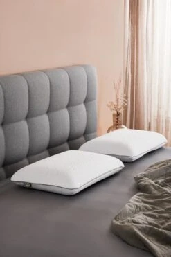 Oreiller WELLPUR VONGSEN 40x60x13 -Intérieur Chic 202758