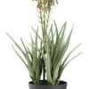 Plante Artificielle RASMUS H45cm A/fleurs